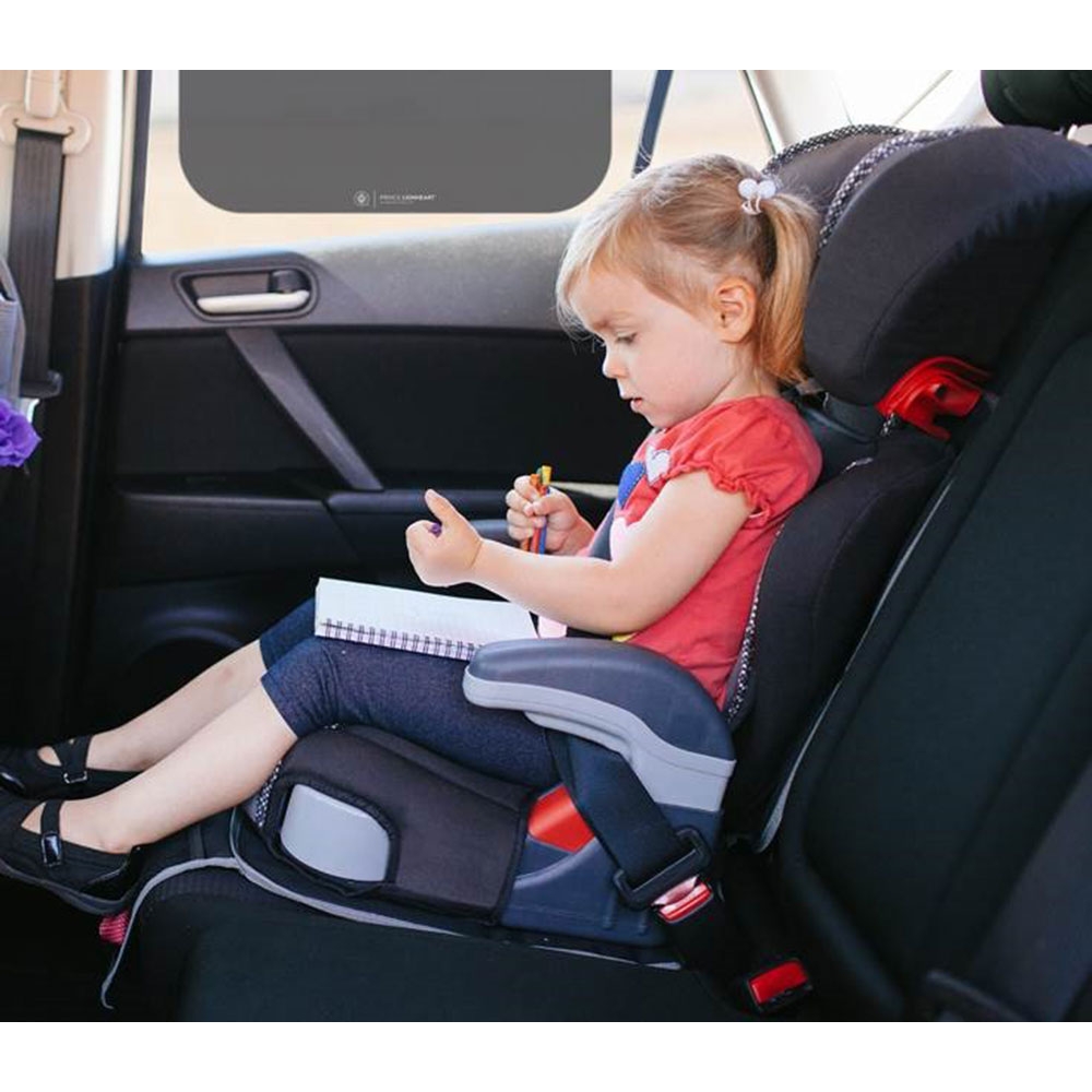 Prince Lionheart - Rolled Sunshade - 50x40cm - Pack of 2