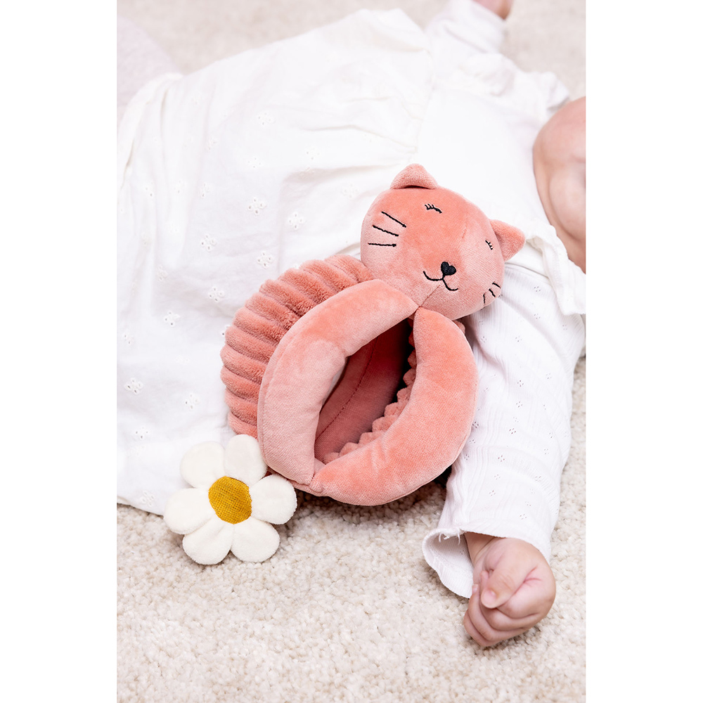 Trixie Grabbing Ball - Mrs. Cat