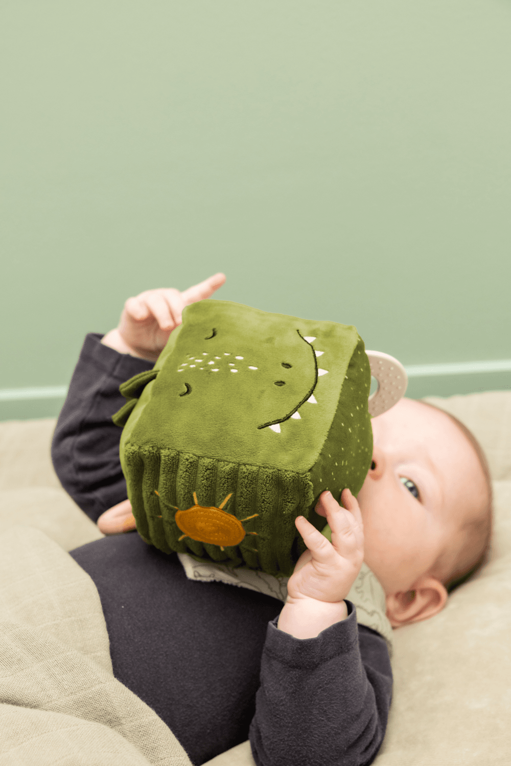 Trixie - Activity Cube - Mr. Dino