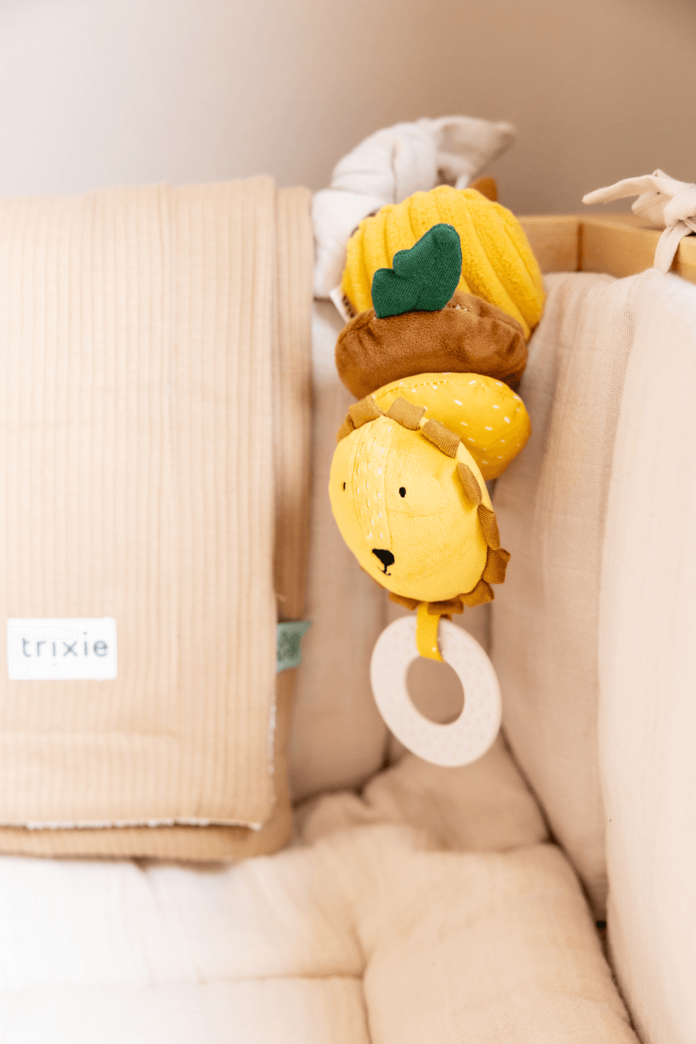 Trixie - Dancing Toy - Mr. Lion