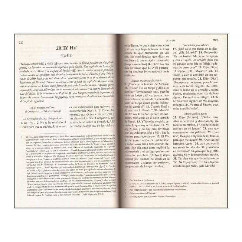 El Coran - Esclarecedor