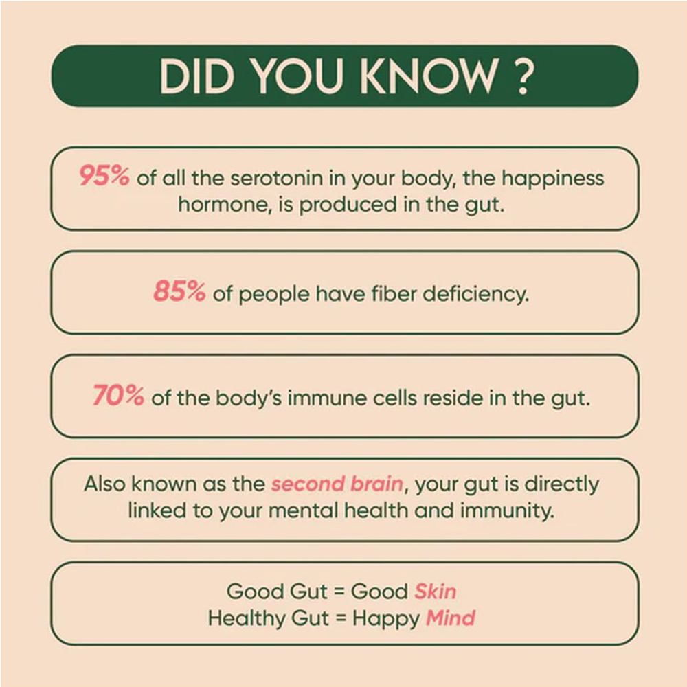 Rite - Gut Health Powder Drink Pouch - 240 gm