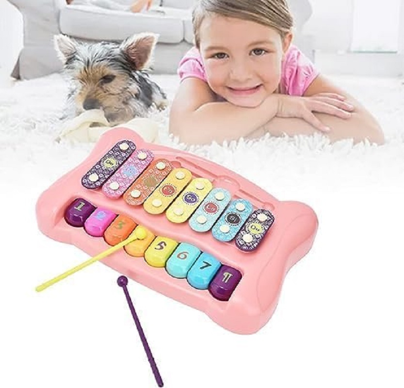 UKR - Xylophone Musical Instrument - Pink