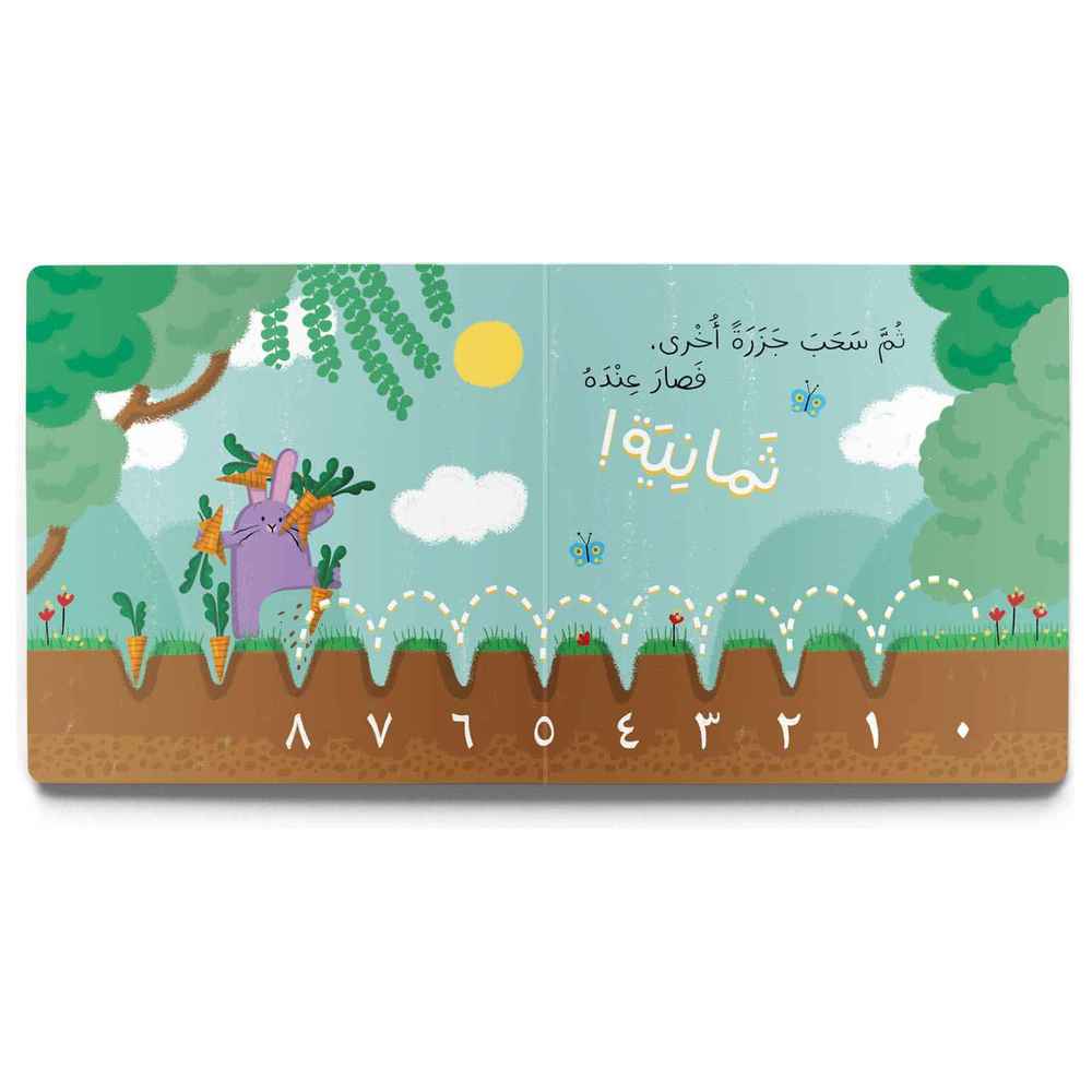 Dardasha - 10 Carrots Book