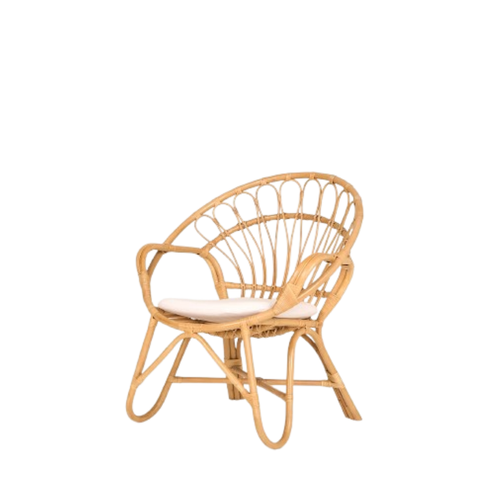Natura Living - Natura Rawson Rattan Arm Chair