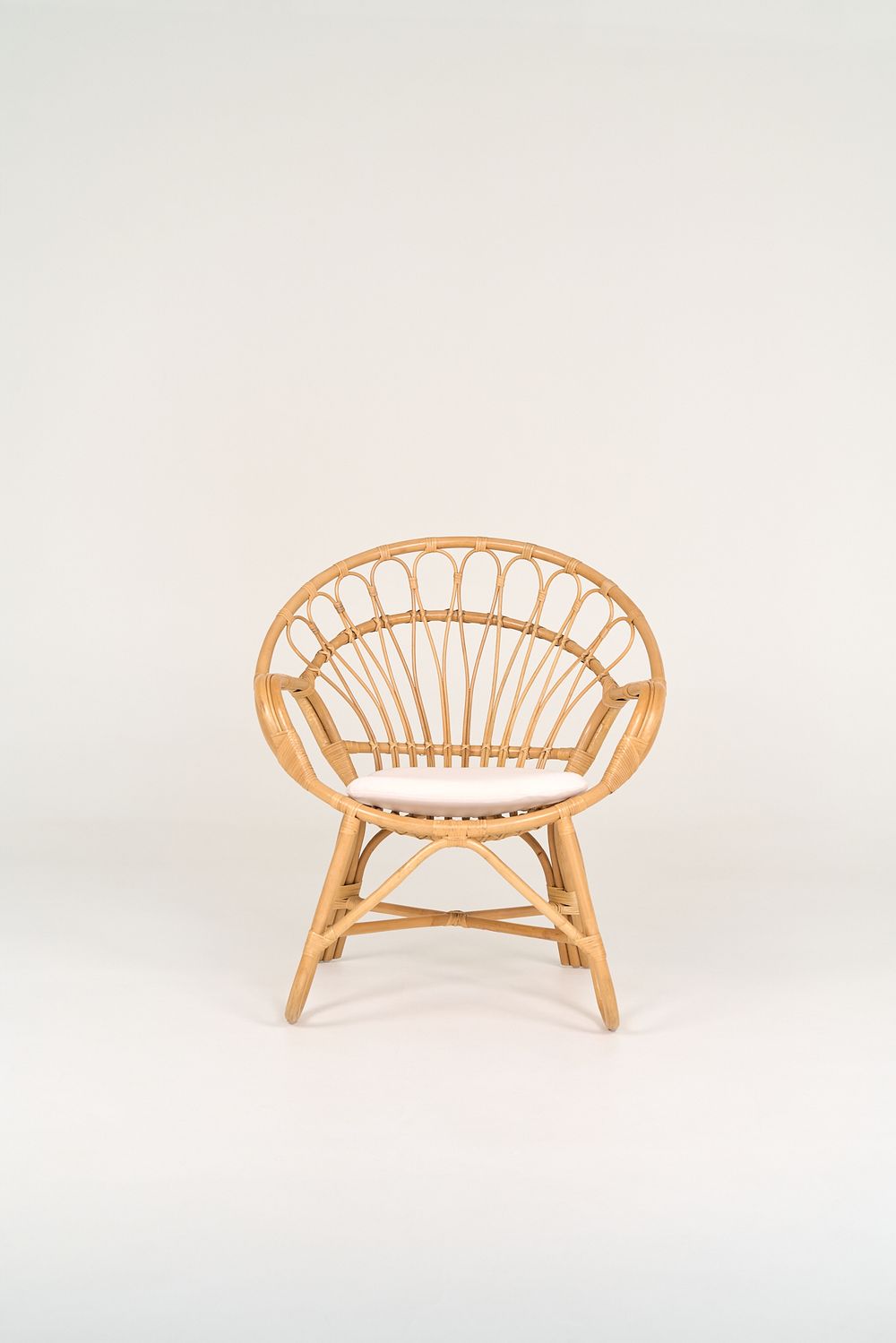 Natura Living - Natura Rawson Rattan Arm Chair