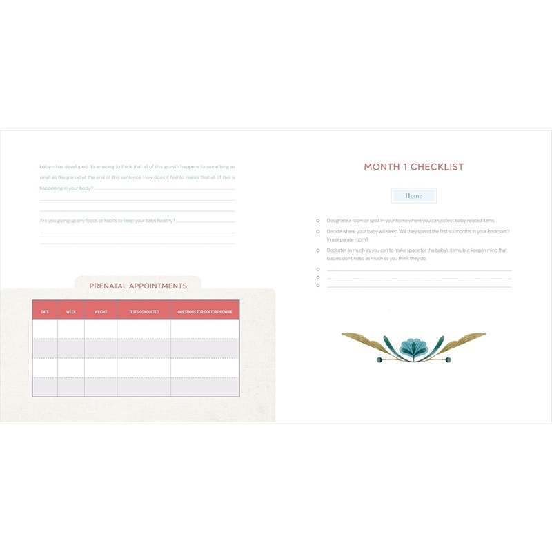 The First Time Mom's Pregnancy Journal