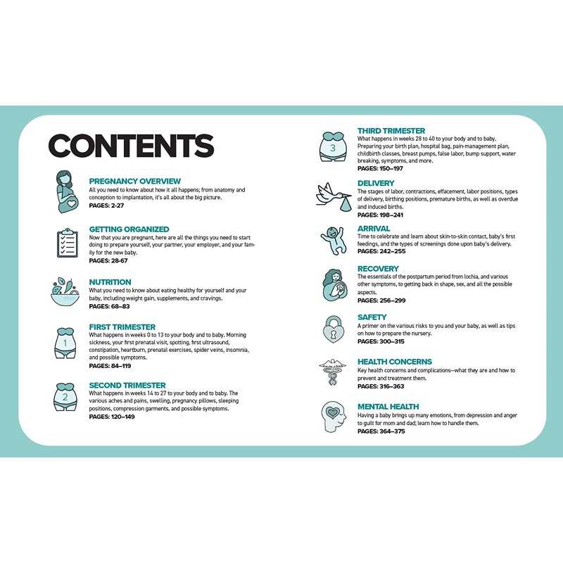 The Simplest Pregnancy Book In The World