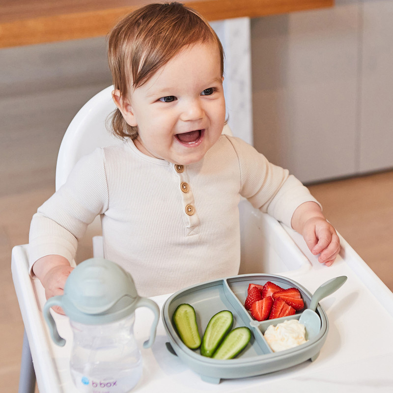 b.box 2-In-1 Suction Plate