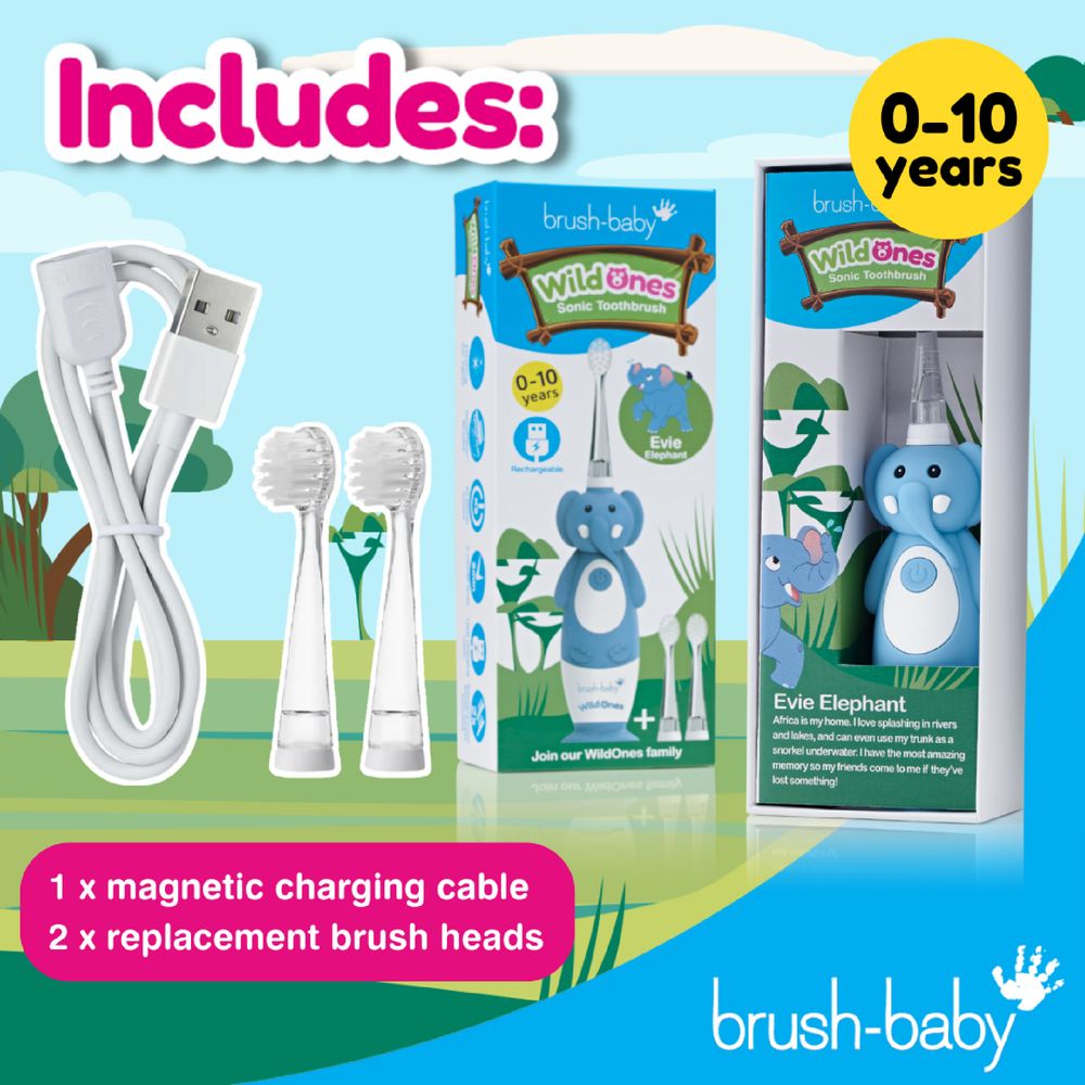 Brush Baby - 2025 Collection Wildones Koala Kids Electric Rechargeable Toothbrush