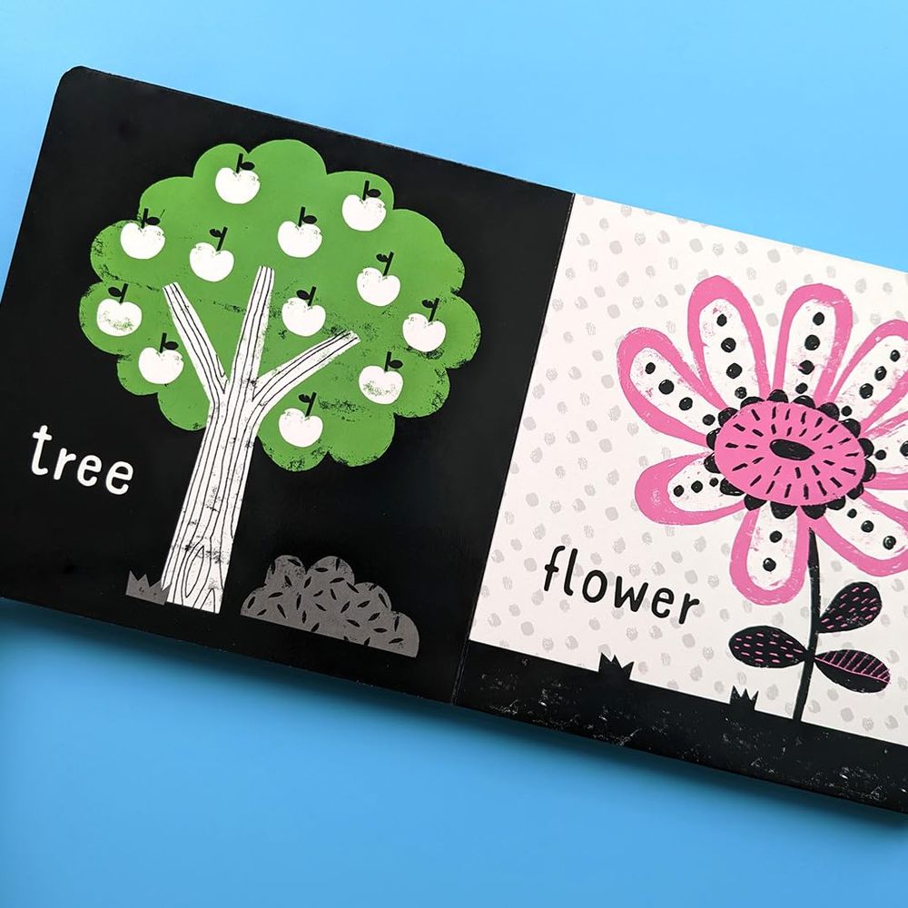 My First Black And White Books - Words