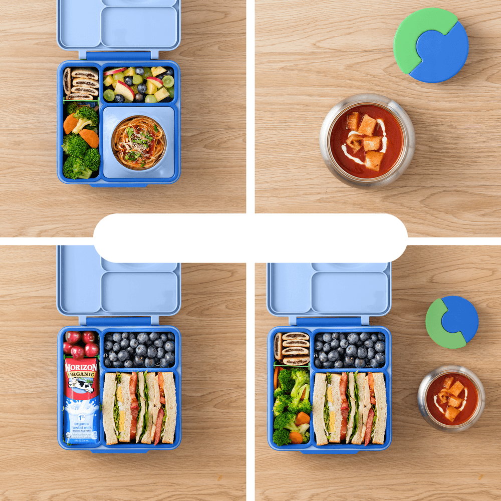 Omiebox - 3 Compartment Thermos Lunch Box - Sea Blue