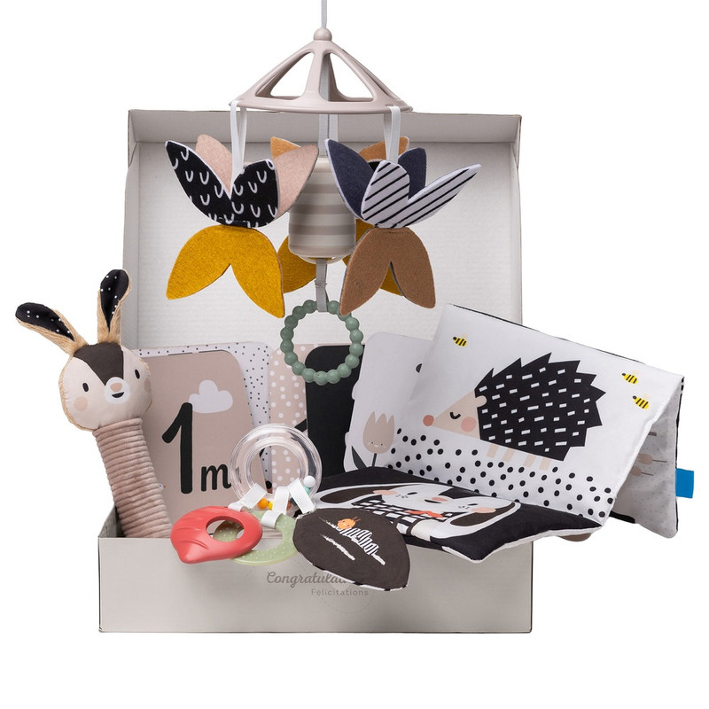 Taf Toys - Newborn Black & White Kit