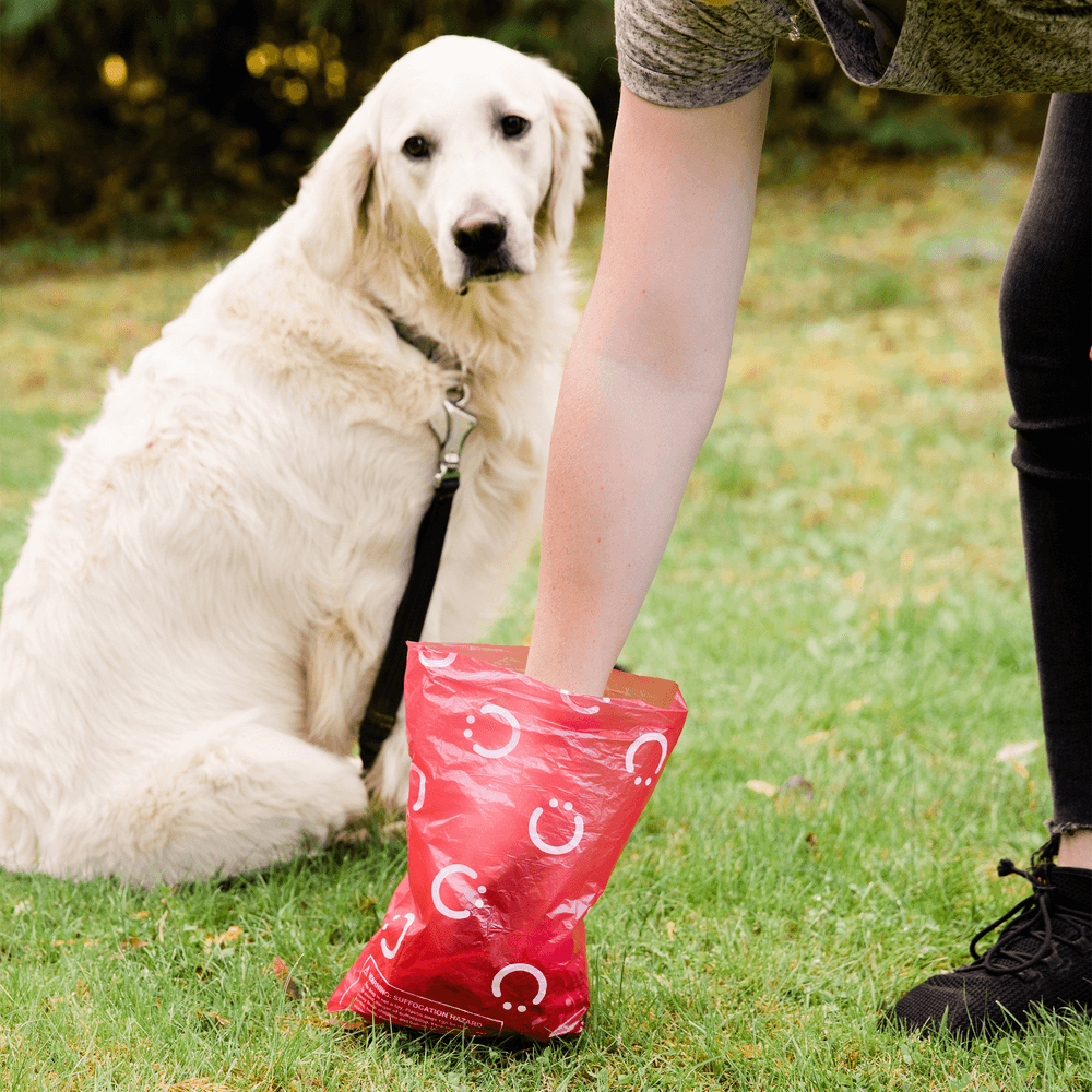 Ubbi - Pet On The Go Bag Refills - Pack of 8 - 144 Pcs - Red