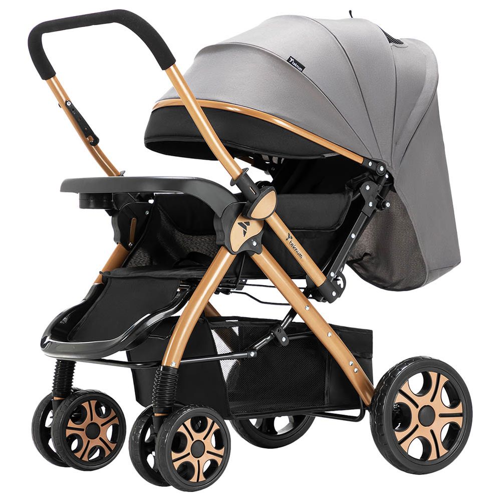 Teknum Reversible Trip2 Stroller - Grey