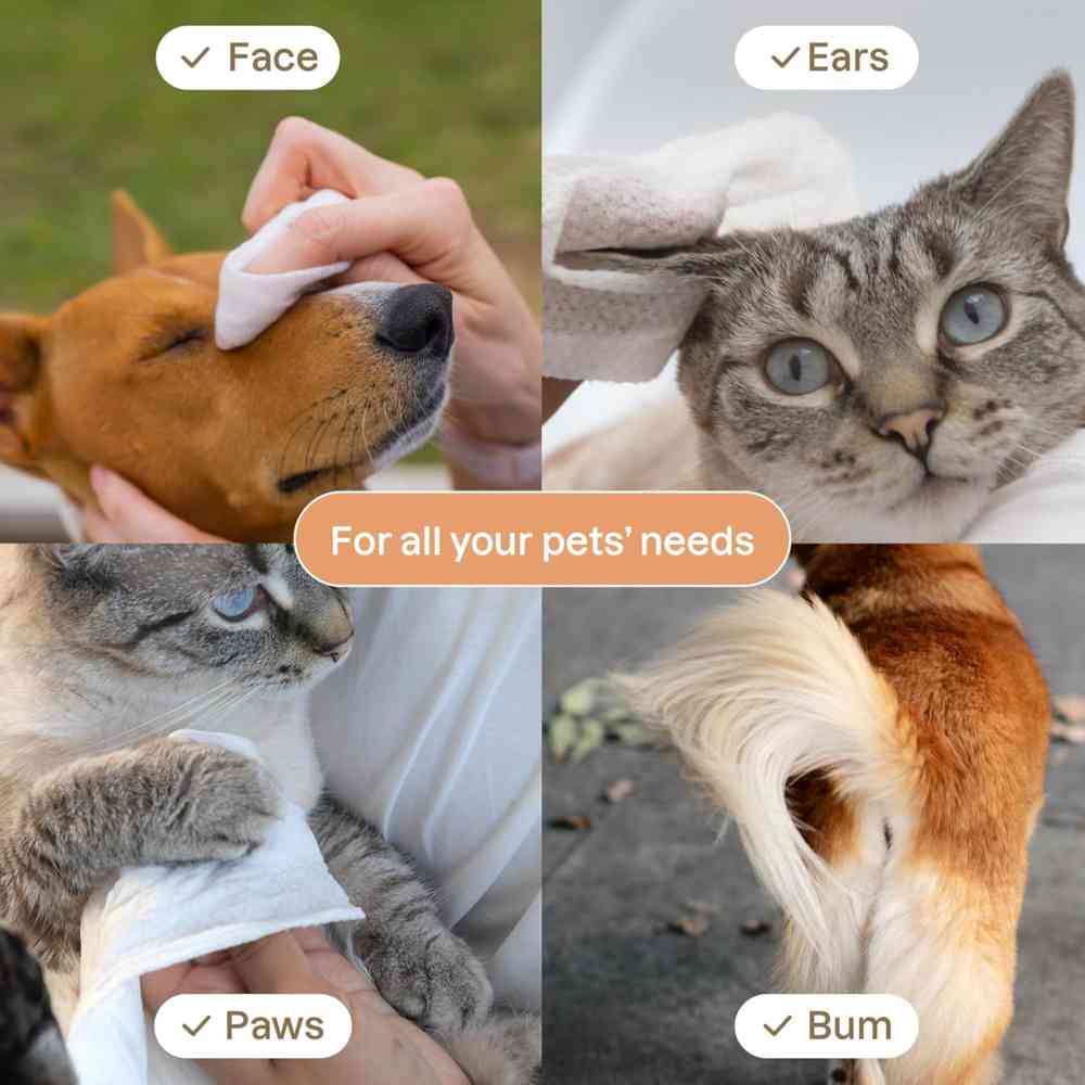 Attitude Super Leaves Pet Grooming Wipes - Unscented - 72 Wipes