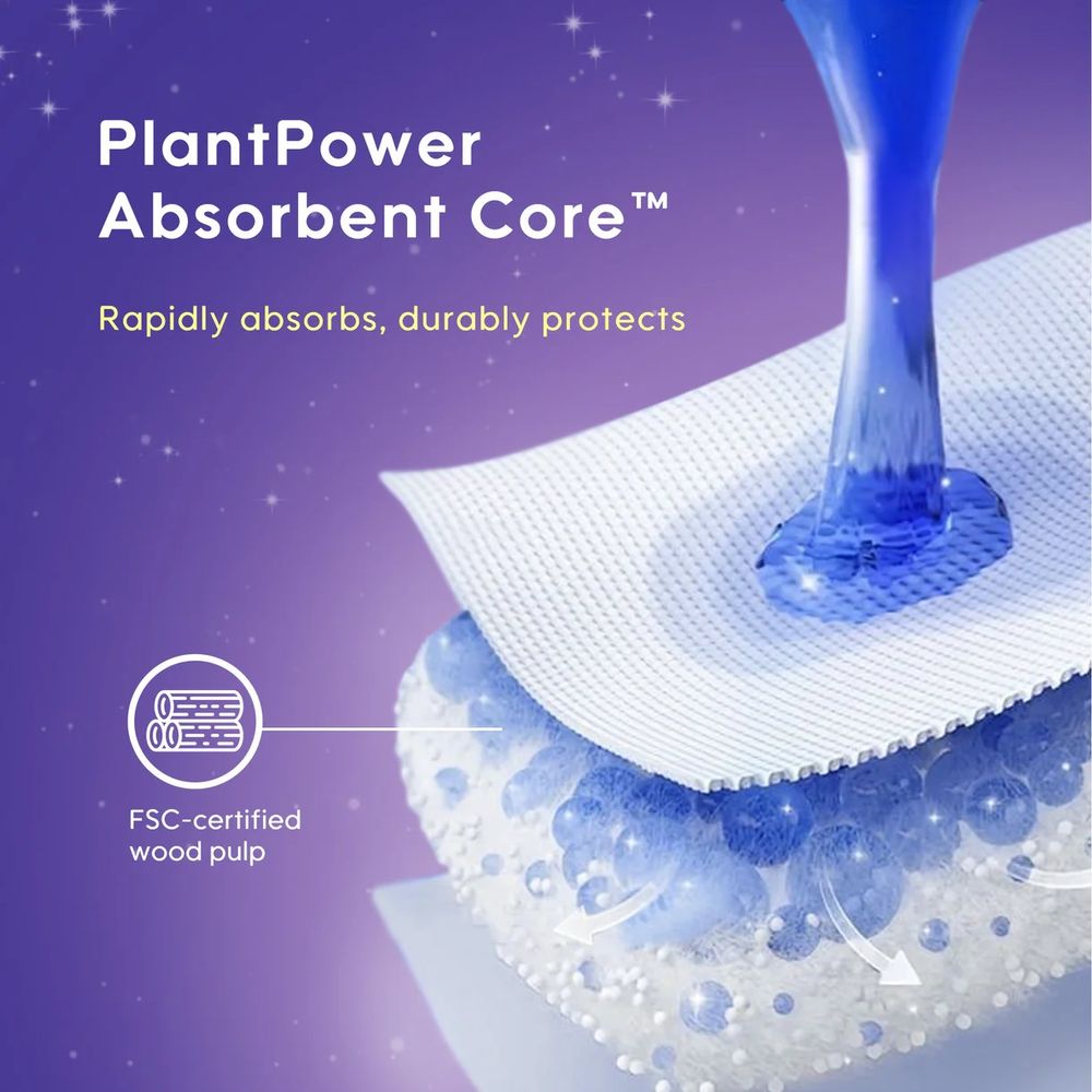 Aiwina - Women’s Overnight Sanitary Panty - S/M