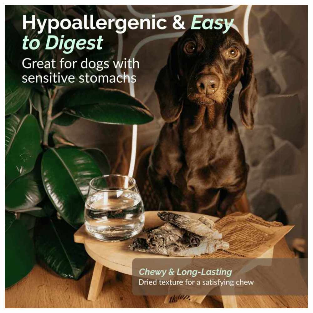 O2 Pets - Super Snack Dog Treats - Fish Chips - 70 gm