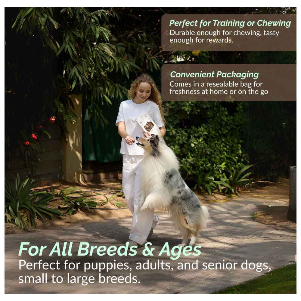 O2 Pets - Dental Dog Treats - Beef Bully Sticks - 100 gm