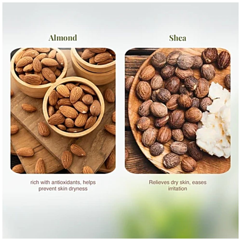 Vlcc - Almond & Shea Body Lotion - 600 ml