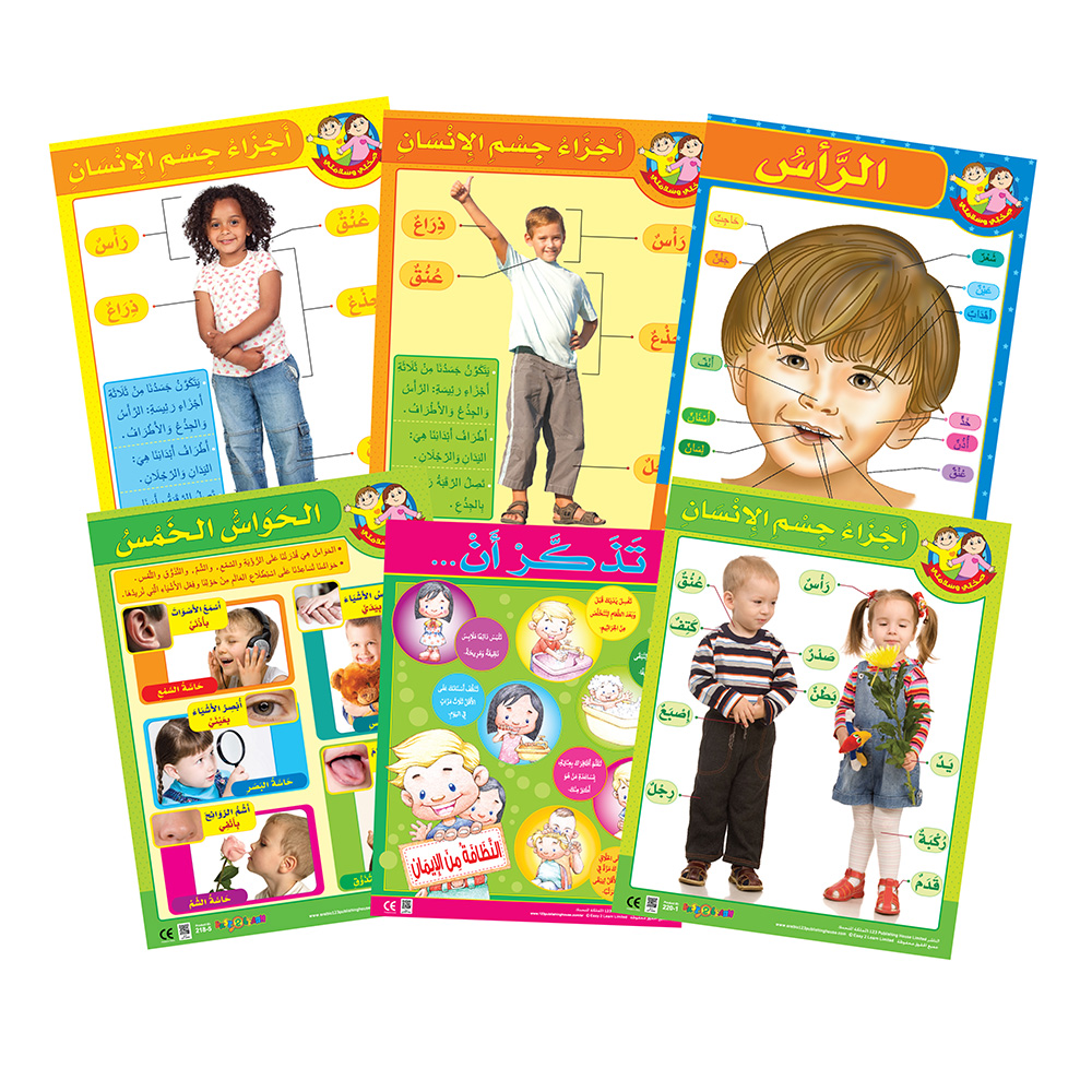 My Body And My 5 Senses Educational Wall Charts In Arabic - Pack of 6