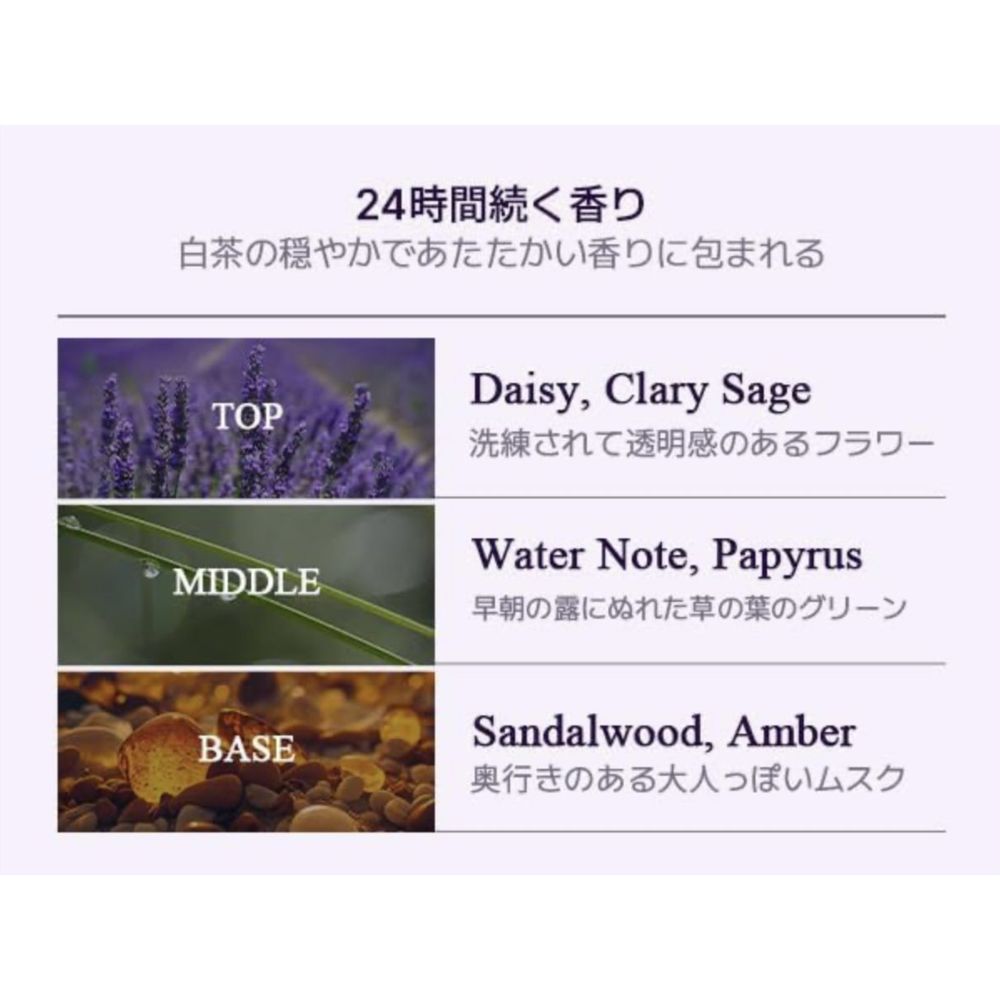 Teabless - Perfume Body Wash - 500 gm