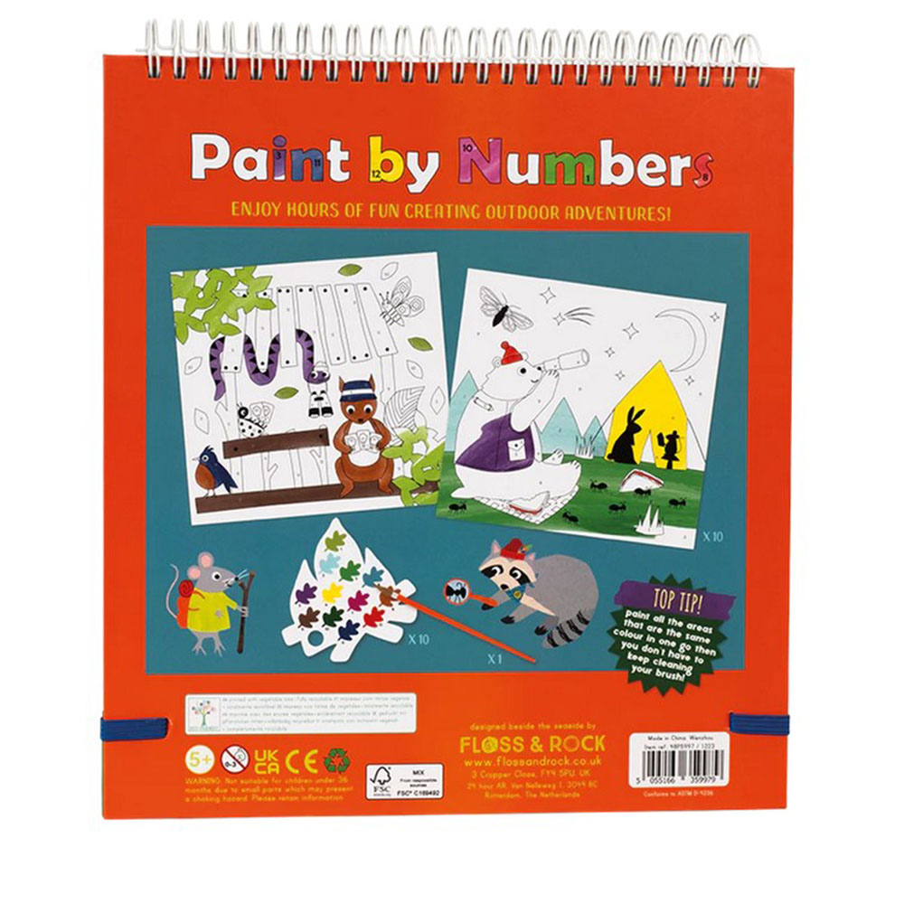 Floss & Rock - Paint By Numbers - Adventure