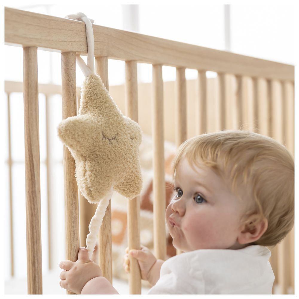 Nattou - Musical Cuddly Teddy - Etoile