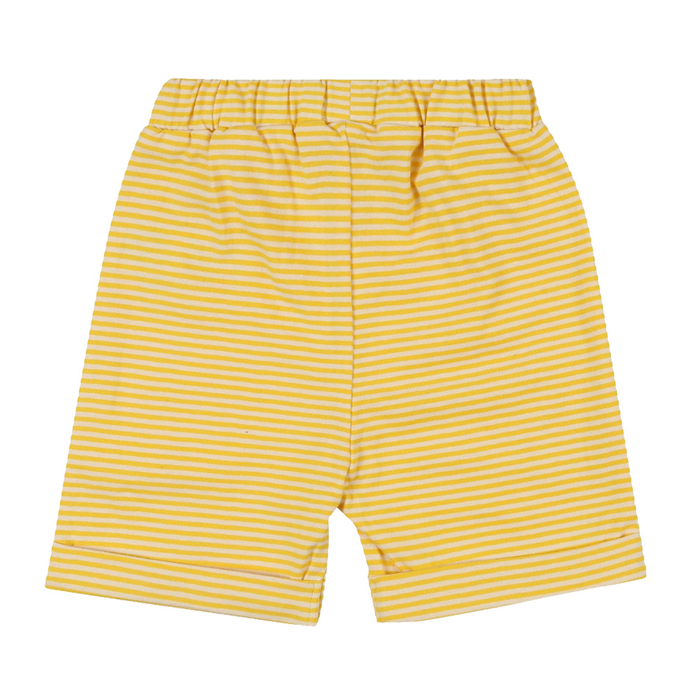 Lilly & Sid - 2pc-Set - Baby Boy's Bugs Print T-Shirt & Shorts