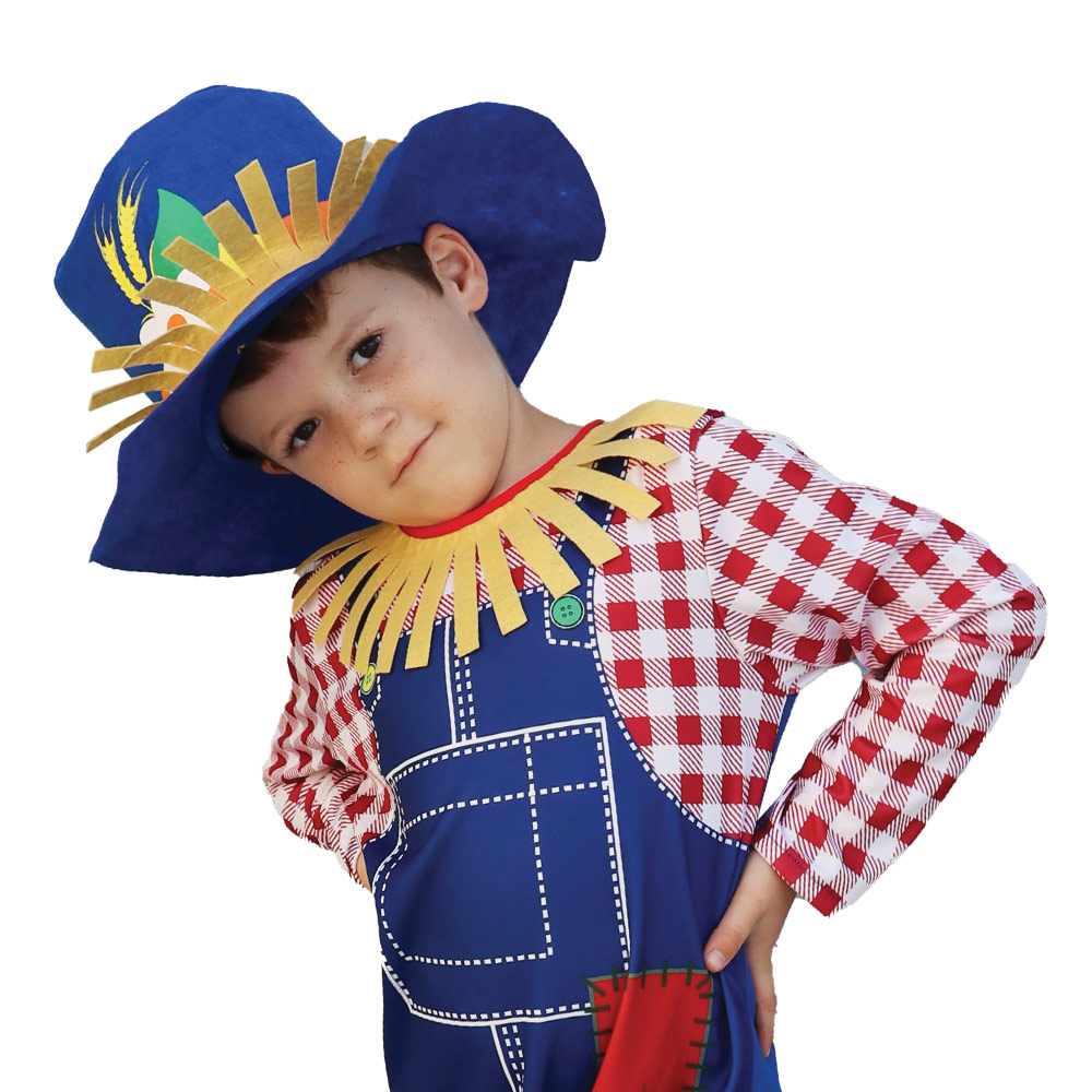 Mad Toys - Scarecrow Boy Book Week Costumes for Kids
