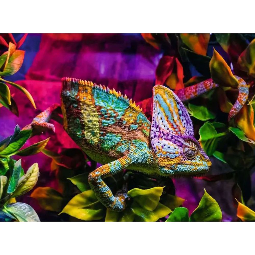 Ravensburger Chameleon Jigsaw Puzzle - Vibrant Tropical Reptile Nature - 500 Pcs