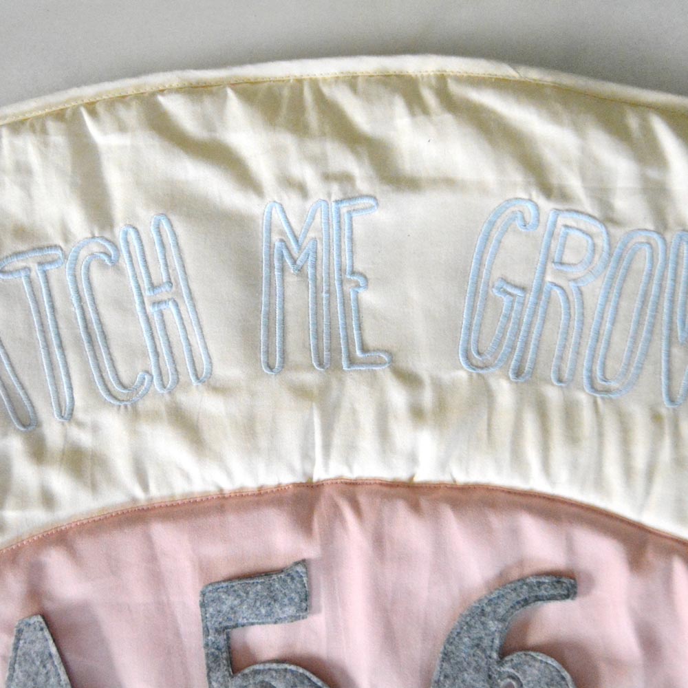 Mi Dulce An'ya - My First Year- Milestone Set For Girls - Blush