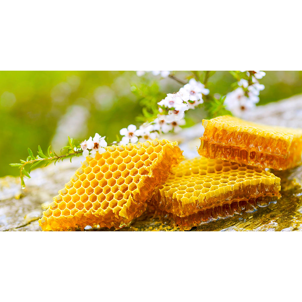 Downunder Honey - Manuka Honey UMF10+ - MGO 263+ - 250g