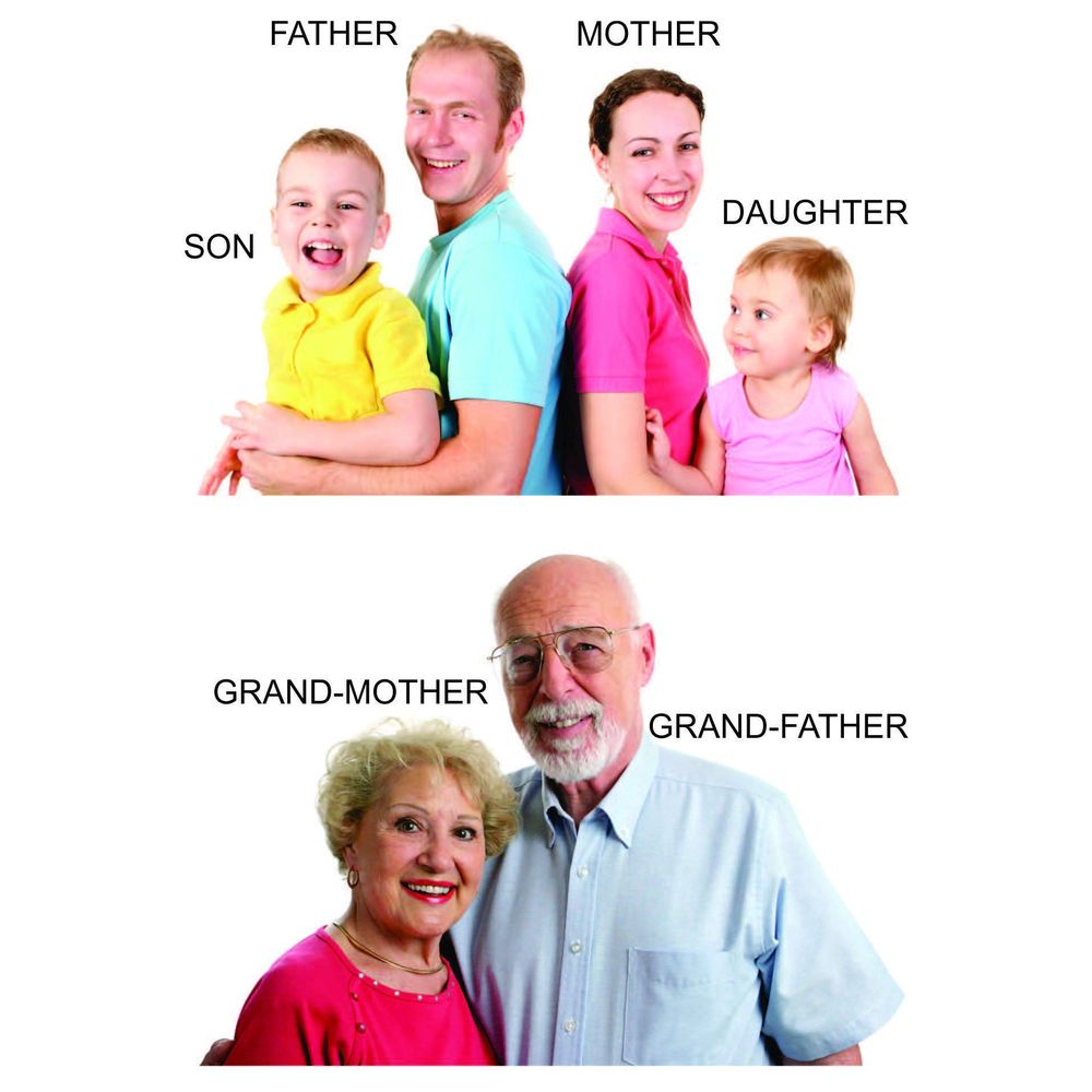 My Small Board Books - Words