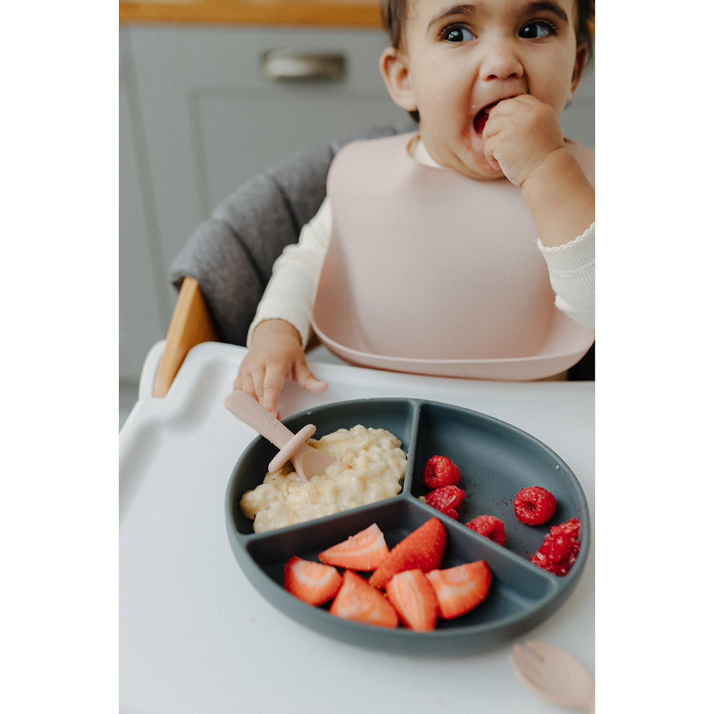 Pippeta Silicone Suction Plate - Lilac