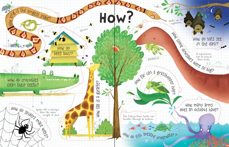 Usborne Books - Lift-the-flap Questions and Answers about Animals