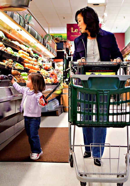 Hold-On Handles Biz Bugs Ladybug Single Handle Set