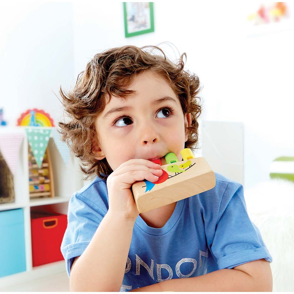 Hape - Rainbow Pan Pipe Toy