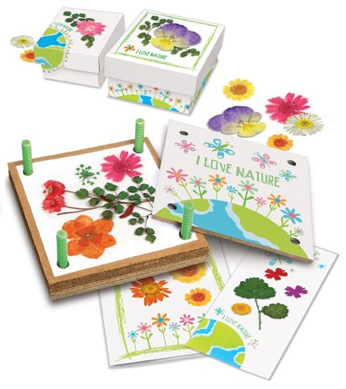 4M Pressed Flower Art