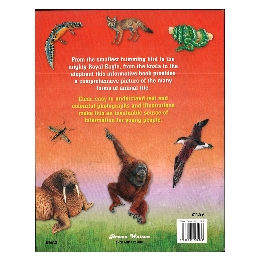 The Big Book of Animals (HB)