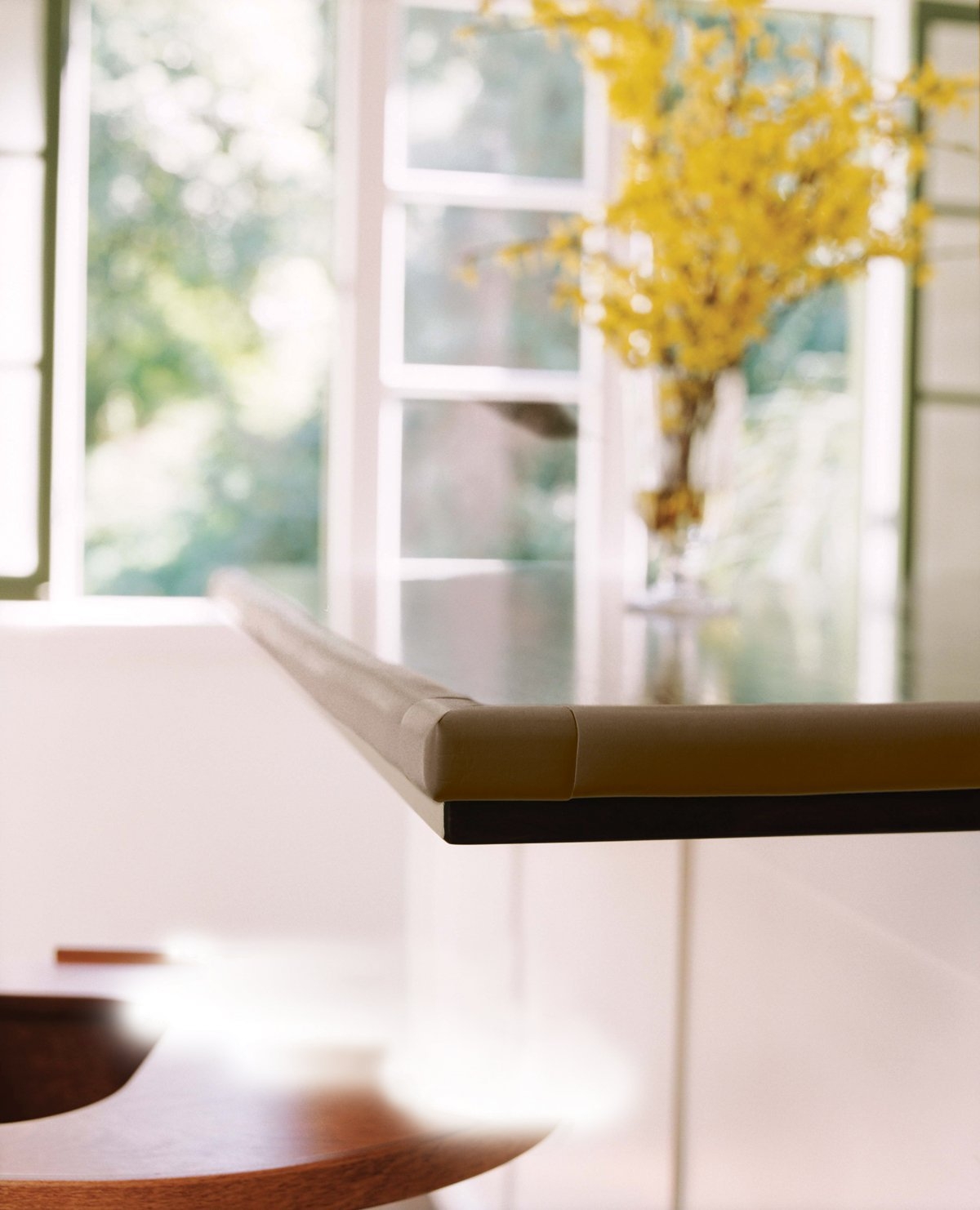 Prince Lionheart - Cushiony Jumbo Edge Guards - Neutral