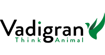 Vadigran